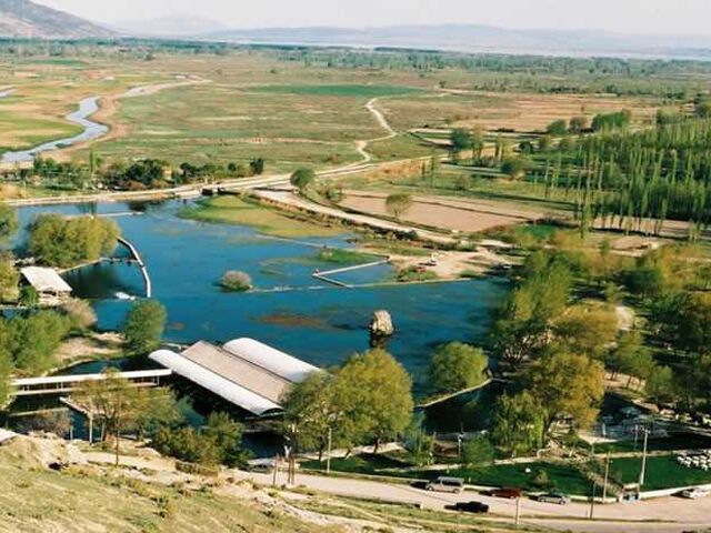 ISPARTA GÜL HASADI TURU