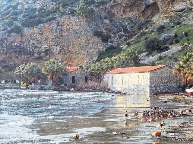 DOĞANBEY-KARİNA-BAFA GÖLÜ