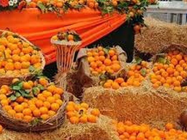 SEFERİHİSAR MANDALİNA ŞENLİĞİ