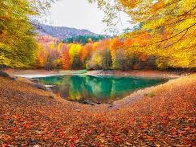 YEDİGÖLLER-ABANT-SAFRANBOLU TURU